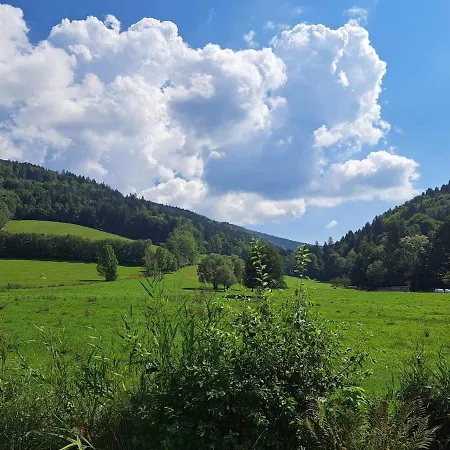 U Ztraceného Potoka *