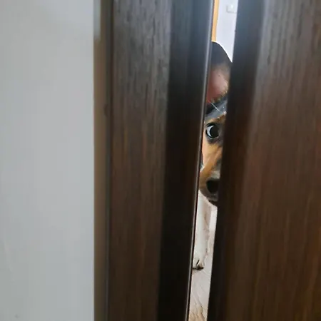Prázdninový dům U Ztraceného Potoka *