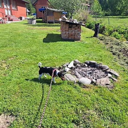 U Ztraceného Potoka * Vernířovice