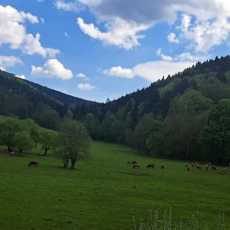 U Ztraceného Potoka