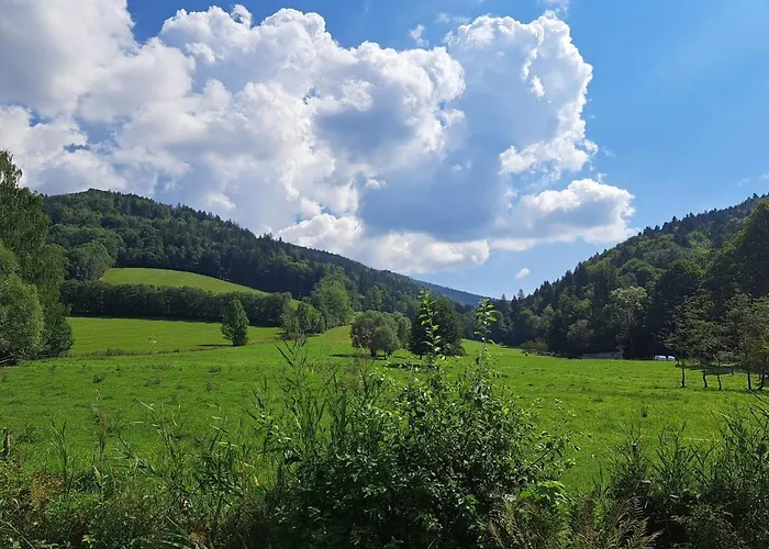 U Ztraceneho Potoka *