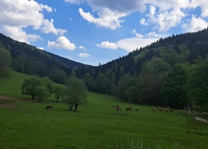 U Ztraceneho Potoka